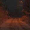 _Конь_в_пальто_