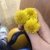 Air_alone