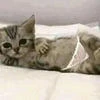 gagara_me