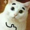 fukiccima