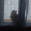 razzoomov