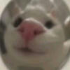 -Salololo-
