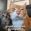нн идиот