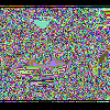 пОлУнОчНыЙ_пТиЦ