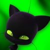 BadKitten