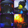 Ficus_varian