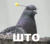 Пустое место