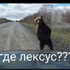 Сакура2045