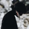The_War