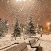 lollipop_muotre