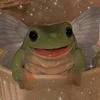 Froggieeee