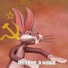 _Портвейн_8516_