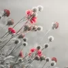 Опрометчивость