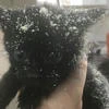 Рай для котят
