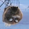 Твой воздух.