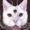 Soft Killer