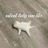.сам0рефлексия