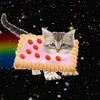 NyAn CaAAt T_T