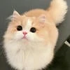 Dessertus