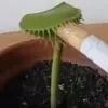 Rolrope1