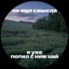 SoLuarkA