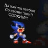 Sektor Sonic