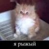 мысли дары