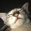 Чел который в канаве