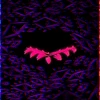 F-Fx-y