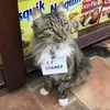 Я конечно добрый