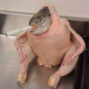 ЖмыхВонючий