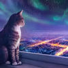 StussyCat