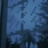 В Дагестанском цирке...