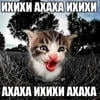 KoshaPlay