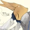 .DarkichXP