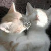 Fluffy_name