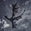 _ Лукавая _