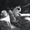 господин оруженосец