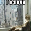 мимимимимимимимимимими