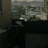 Mutt_Call