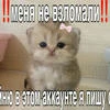 поля плачет пьёт