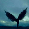 Endle_sss