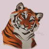 TigerFlash