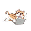 White cat10