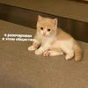 _Stupid_August_
