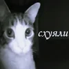 _Чиширка0_