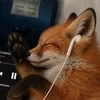 Октавия Тодд
