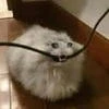 Энтони Стекольщик