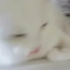 ekaplay