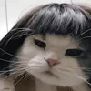 sakurokawa